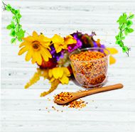 Top 10 Công Dụng Của Phấn Hoa Mật Ong đối Với Sức Khỏe Con Người