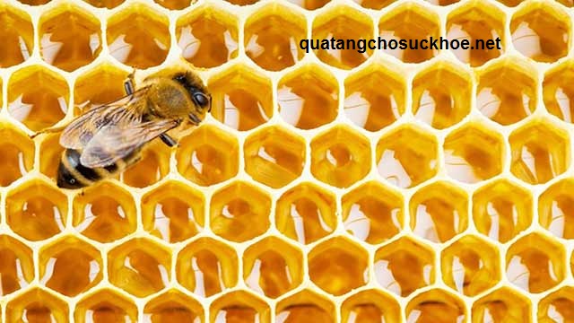 Tìm Hiểu Về Các Loại Mật Ong Phổ Biến Trên Thị Trường Hiện Nay