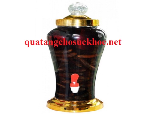 Công Dụng Rượu Chuối Hột Và Lưu ý Khi Sử Dụng Rượu Chuối Hột
