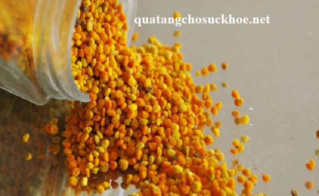 Những Công Dụng Phấn Hoa đối Với Sức Khỏe Con Người