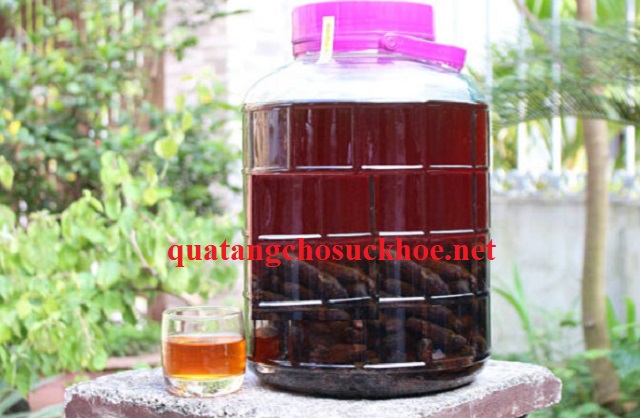 Công Dụng Của Chuối Hột Rừng Ngâm Rượu đối Với Sức Khỏe