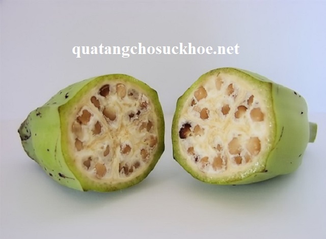 Tác Dụng Của Quả Chuối Hột, Vị Thuốc Chữa Bách Bệnh