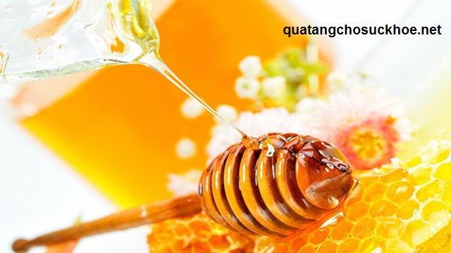 Đi Tìm Địa Chỉ Bán Mật Ong Chất Lượng Nhất Hiện Nay