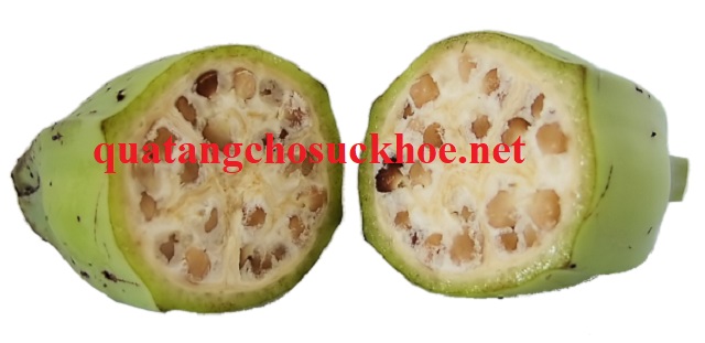 Công Dụng Của Rượu Chuối Hột Và Cách Ngâm Rượu đúng Chuẩn