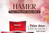 Tổ Yến Loại 2 Trên đá